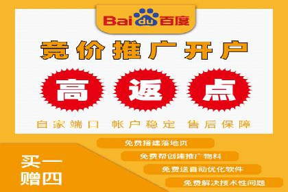 百度竞价SEM案例：揭秘高效广告投放技巧